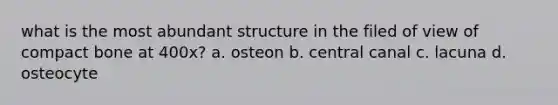 what is the most abundant structure in the filed of view of compact bone at 400x? a. osteon b. central canal c. lacuna d. osteocyte