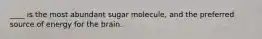 ____ is the most abundant sugar molecule, and the preferred source of energy for the brain.