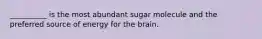 __________ is the most abundant sugar molecule and the preferred source of energy for the brain.