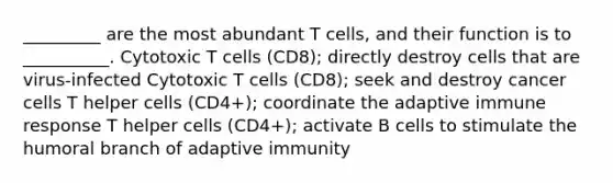 _________ are the most abundant T cells, and their function is to __________. Cytotoxic T cells (CD8); directly destroy cells that are virus-infected Cytotoxic T cells (CD8); seek and destroy cancer cells T helper cells (CD4+); coordinate the adaptive immune response T helper cells (CD4+); activate B cells to stimulate the humoral branch of adaptive immunity