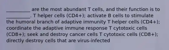 __________ are the most abundant T cells, and their function is to __________. T helper cells (CD4+); activate B cells to stimulate the humoral branch of adaptive immunity T helper cells (CD4+); coordinate the adaptive immune response T cytotoxic cells (CD8+); seek and destroy cancer cells T cytotoxic cells (CD8+); directly destroy cells that are virus-infected