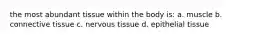 the most abundant tissue within the body is: a. muscle b. connective tissue c. nervous tissue d. epithelial tissue