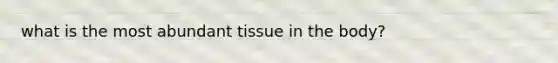 what is the most abundant tissue in the body?