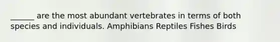 ______ are the most abundant vertebrates in terms of both species and individuals. Amphibians Reptiles Fishes Birds