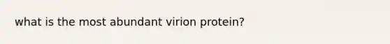 what is the most abundant virion protein?