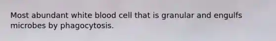 Most abundant white blood cell that is granular and engulfs microbes by phagocytosis.