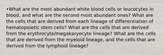 •What are the most abundant white blood cells or leucocytes in blood, and what are the second most abundant ones? What are the cells that are derived from each lineage of differentiation of hematopoietic stem cells? What are the cells that are derived from the erythrocyte/megakaryocyte lineage? What are the cells that are derived from the myeloid lineage, and the cells that are derived from the lymphoid lineage?