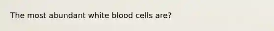 The most abundant white blood cells are?