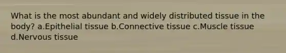 What is the most abundant and widely distributed tissue in the body? a.Epithelial tissue b.Connective tissue c.Muscle tissue d.Nervous tissue