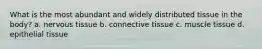 What is the most abundant and widely distributed tissue in the body? a. nervous tissue b. connective tissue c. muscle tissue d. epithelial tissue