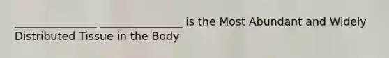 _______________ _______________ is the Most Abundant and Widely Distributed Tissue in the Body