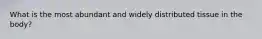 What is the most abundant and widely distributed tissue in the body?
