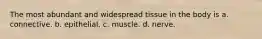 The most abundant and widespread tissue in the body is a. connective. b. epithelial. c. muscle. d. nerve.