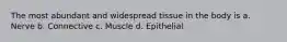 The most abundant and widespread tissue in the body is a. Nerve b. Connective c. Muscle d. Epithelial