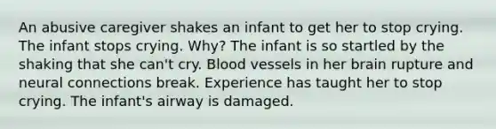 An abusive caregiver shakes an infant to get her to stop crying. The infant stops crying. Why? The infant is so startled by the shaking that she can't cry. Blood vessels in her brain rupture and neural connections break. Experience has taught her to stop crying. The infant's airway is damaged.