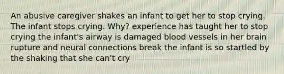 An abusive caregiver shakes an infant to get her to stop crying. The infant stops crying. Why? experience has taught her to stop crying the infant's airway is damaged blood vessels in her brain rupture and neural connections break the infant is so startled by the shaking that she can't cry