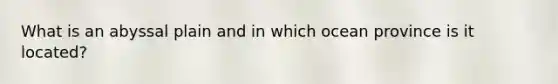 What is an abyssal plain and in which ocean province is it located?