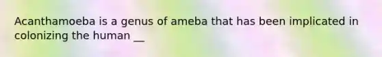 Acanthamoeba is a genus of ameba that has been implicated in colonizing the human __