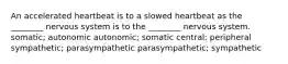 An accelerated heartbeat is to a slowed heartbeat as the ________ nervous system is to the ________ nervous system. somatic; autonomic autonomic; somatic central; peripheral sympathetic; parasympathetic parasympathetic; sympathetic