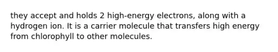 they accept and holds 2 high-energy electrons, along with a hydrogen ion. It is a carrier molecule that transfers high energy from chlorophyll to other molecules.