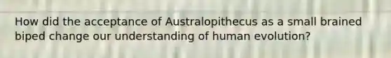 How did the acceptance of Australopithecus as a small brained biped change our understanding of human evolution?