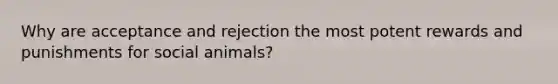 Why are acceptance and rejection the most potent rewards and punishments for social animals?