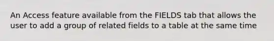 An Access feature available from the FIELDS tab that allows the user to add a group of related fields to a table at the same time