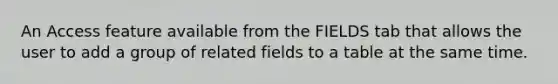 An Access feature available from the FIELDS tab that allows the user to add a group of related fields to a table at the same time.