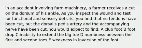 In an accident involving farm machinery, a farmer receives a cut on the dorsum of his ankle. As you inspect the wound and test for functional and sensory deficits, you find that no tendons have been cut, but the dorsalis pedis artery and the accompanying nerve have been cut. You would expect to find: A club foot B foot drop C inability to extend the big toe D numbness between the first and second toes E weakness in inversion of the foot