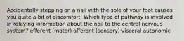 Accidentally stepping on a nail with the sole of your foot causes you quite a bit of discomfort. Which type of pathway is involved in relaying information about the nail to the central nervous system? efferent (motor) afferent (sensory) visceral autonomic