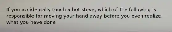 If you accidentally touch a hot stove, which of the following is responsible for moving your hand away before you even realize what you have done