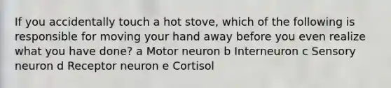 If you accidentally touch a hot stove, which of the following is responsible for moving your hand away before you even realize what you have done? a Motor neuron b Interneuron c Sensory neuron d Receptor neuron e Cortisol