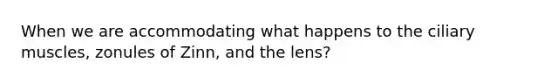 When we are accommodating what happens to the ciliary muscles, zonules of Zinn, and the lens?