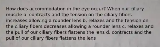 How does accommodation in the eye occur? When our ciliary muscle a. contracts and the tension on the ciliary fibers increases allowing a rounder lens b. relaxes and the tension on the ciliary fibers decreases allowing a rounder lens c. relaxes and the pull of our ciliary fibers flattens the lens d. contracts and the pull of our ciliary fibers flattens the lens