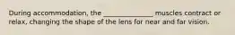 During accommodation, the _______________ muscles contract or relax, changing the shape of the lens for near and far vision.