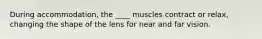 During accommodation, the ____ muscles contract or relax, changing the shape of the lens for near and far vision.