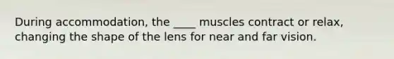 During accommodation, the ____ muscles contract or relax, changing the shape of the lens for near and far vision.