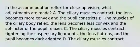 In the accommodation reflex for close-up vision, what adjustments are made? A. The ciliary muscles contract, the lens becomes more convex and the pupil constricts B. The muscles of the ciliary body reflex, the lens becomes less convex and the sphincter of the pupil relaxes C. The ciliary muscles contract, tightening the suspensory ligaments, the lens flattens, and the pupil becomes dark adapted D. The ciliary muscles contract