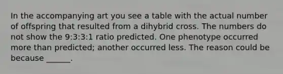 In the accompanying art you see a table with the actual number of offspring that resulted from a dihybrid cross. The numbers do not show the 9:3:3:1 ratio predicted. One phenotype occurred more than predicted; another occurred less. The reason could be because ______.