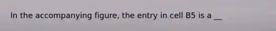 In the accompanying figure, the entry in cell B5 is a __