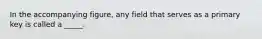 In the accompanying figure, any field that serves as a primary key is called a _____.