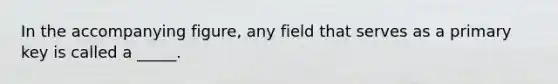 In the accompanying figure, any field that serves as a primary key is called a _____.