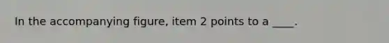 In the accompanying figure, item 2 points to a ____.