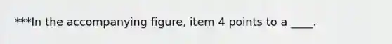 ***In the accompanying figure, item 4 points to a ____.