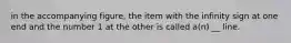 in the accompanying figure, the item with the infinity sign at one end and the number 1 at the other is called a(n) __ line.