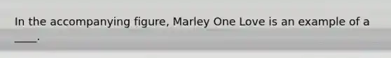 In the accompanying figure, Marley One Love is an example of a ____.