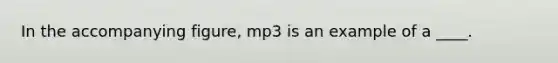 In the accompanying figure, mp3 is an example of a ____.