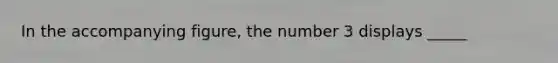 In the accompanying figure, the number 3 displays _____