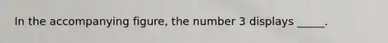 In the accompanying figure, the number 3 displays _____.