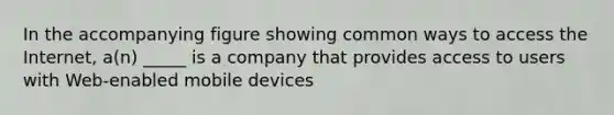 In the accompanying figure showing common ways to access the Internet, a(n) _____ is a company that provides access to users with Web-enabled mobile devices